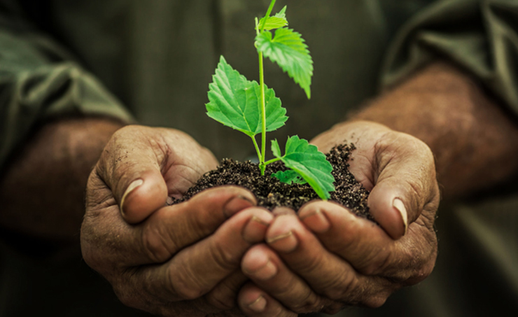 Ternakan - Ruminan (Fidlot,Integrasi &Tenusu) 